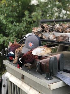 upland hunts