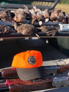 upland hunts