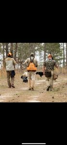 upland hunts