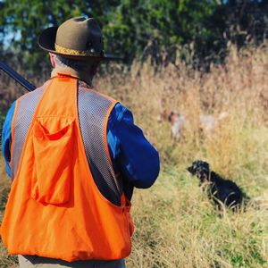 upland hunts