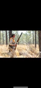 upland hunts