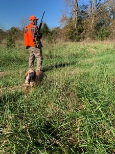 upland hunts