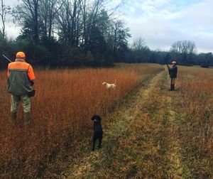 upland hunts