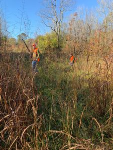 upland hunts