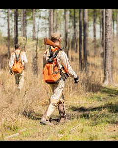 upland hunts