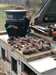 upland hunts