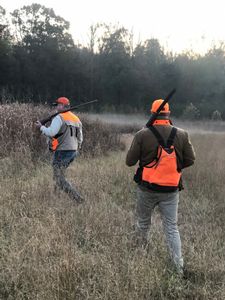 upland hunts