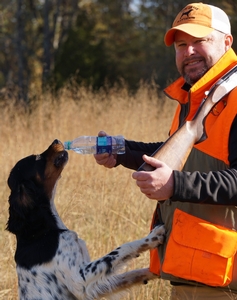 upland hunts